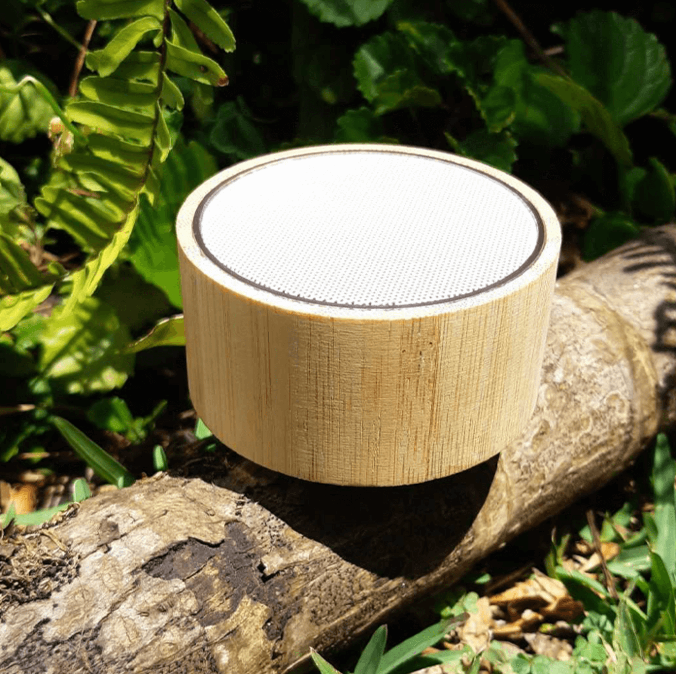 Tecnología promocionales